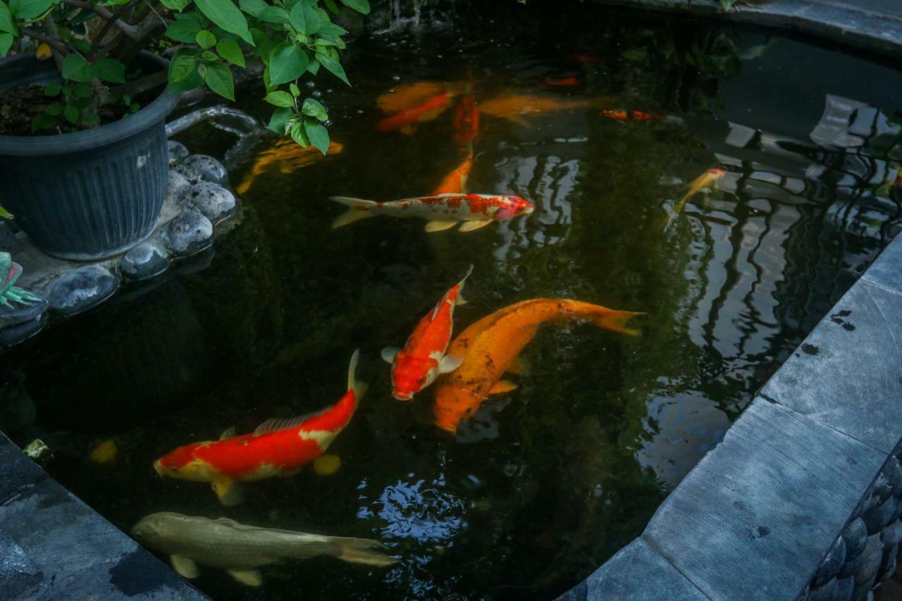 Homestay Sekar Waru *